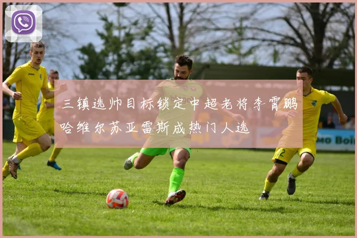 三镇选帅目标锁定中超老将李霄鹏哈维尔苏亚雷斯成热门人选