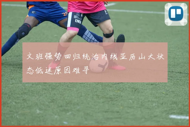 文班强势回归统治内线亚历山大状态低迷原因难寻